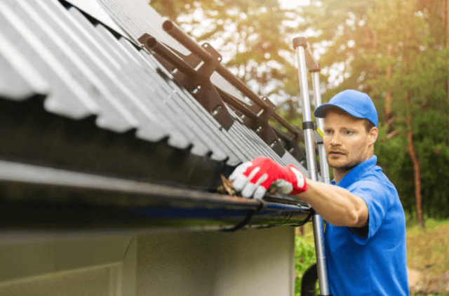 cary gutter service